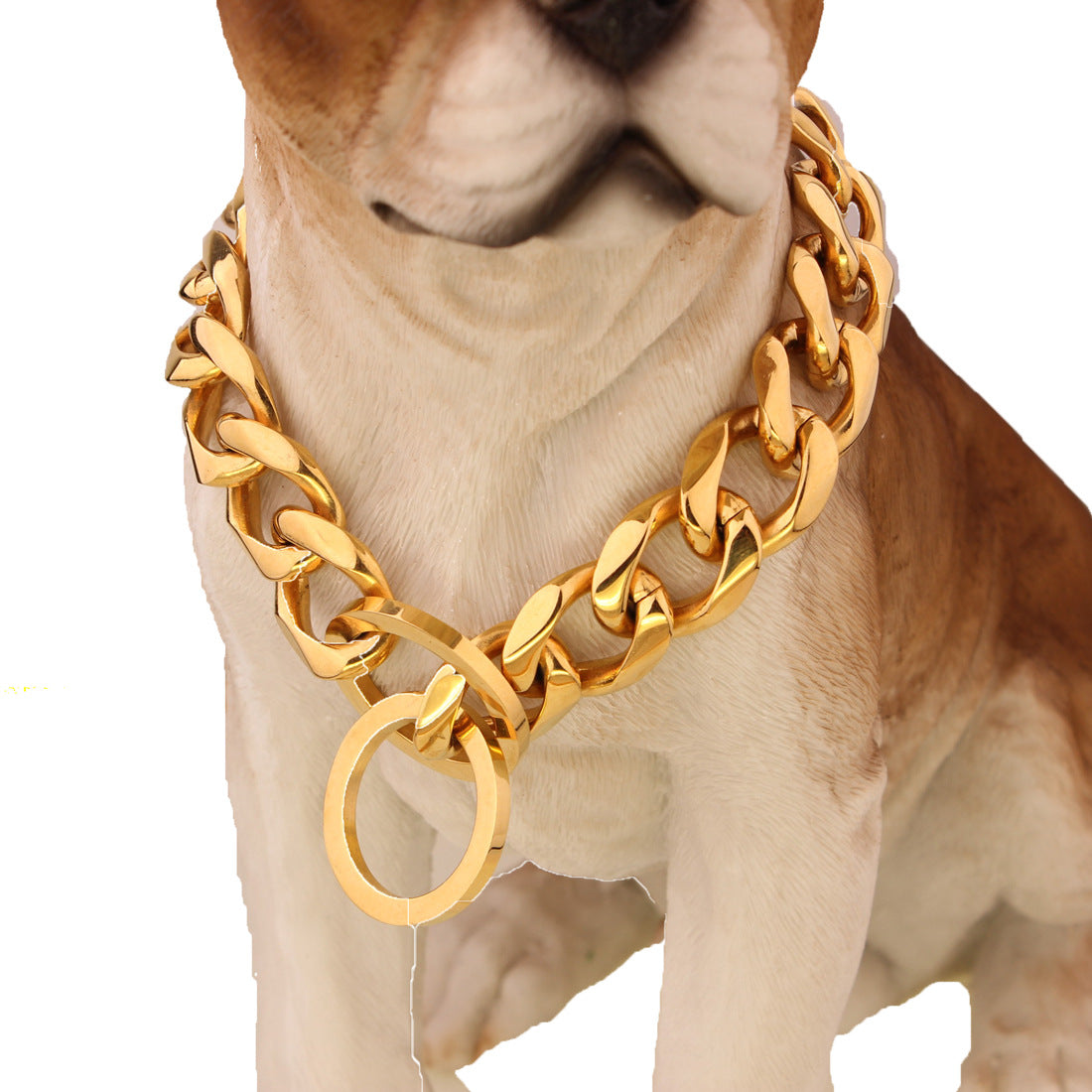 Two-Tone Gold Titanium Pet Necklace – alternate view 2