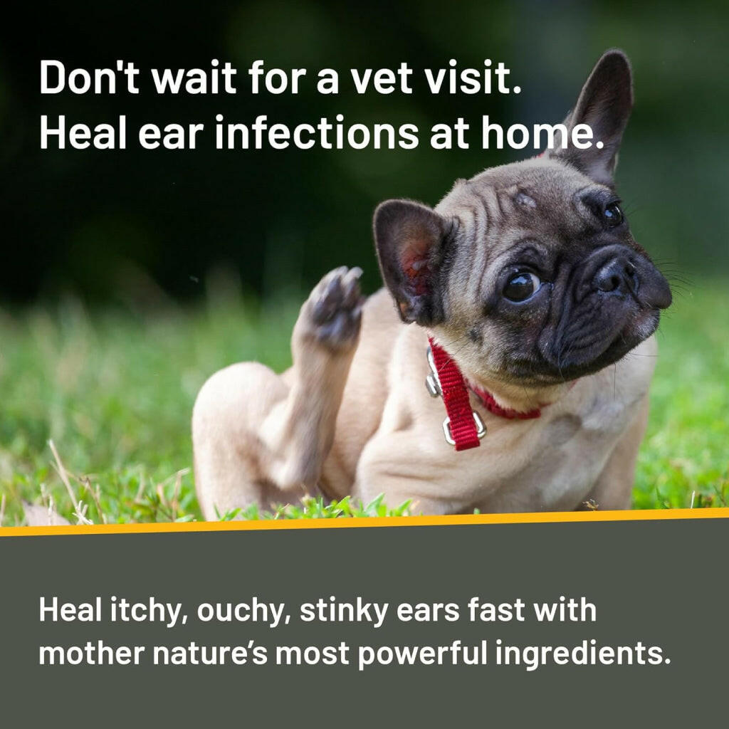 Absorbine Silver Honey Rapid Ear Care Treatment – photo 7 of 7