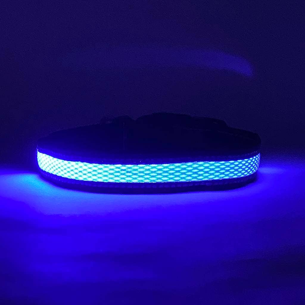 LED Dog Collar: Green – alternate view 4