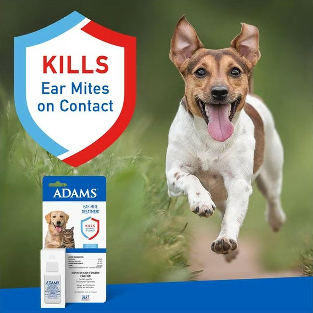 Adams Ear Mite Medication Dogs Cats – photo 3 of 6