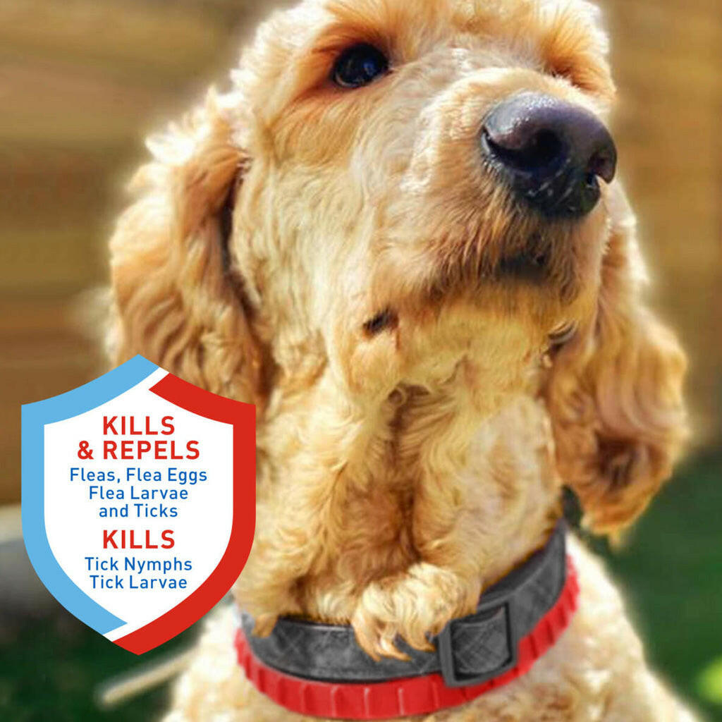 Adams Plus Flea and Tick Collar Small Dogs – photo 2 of 6