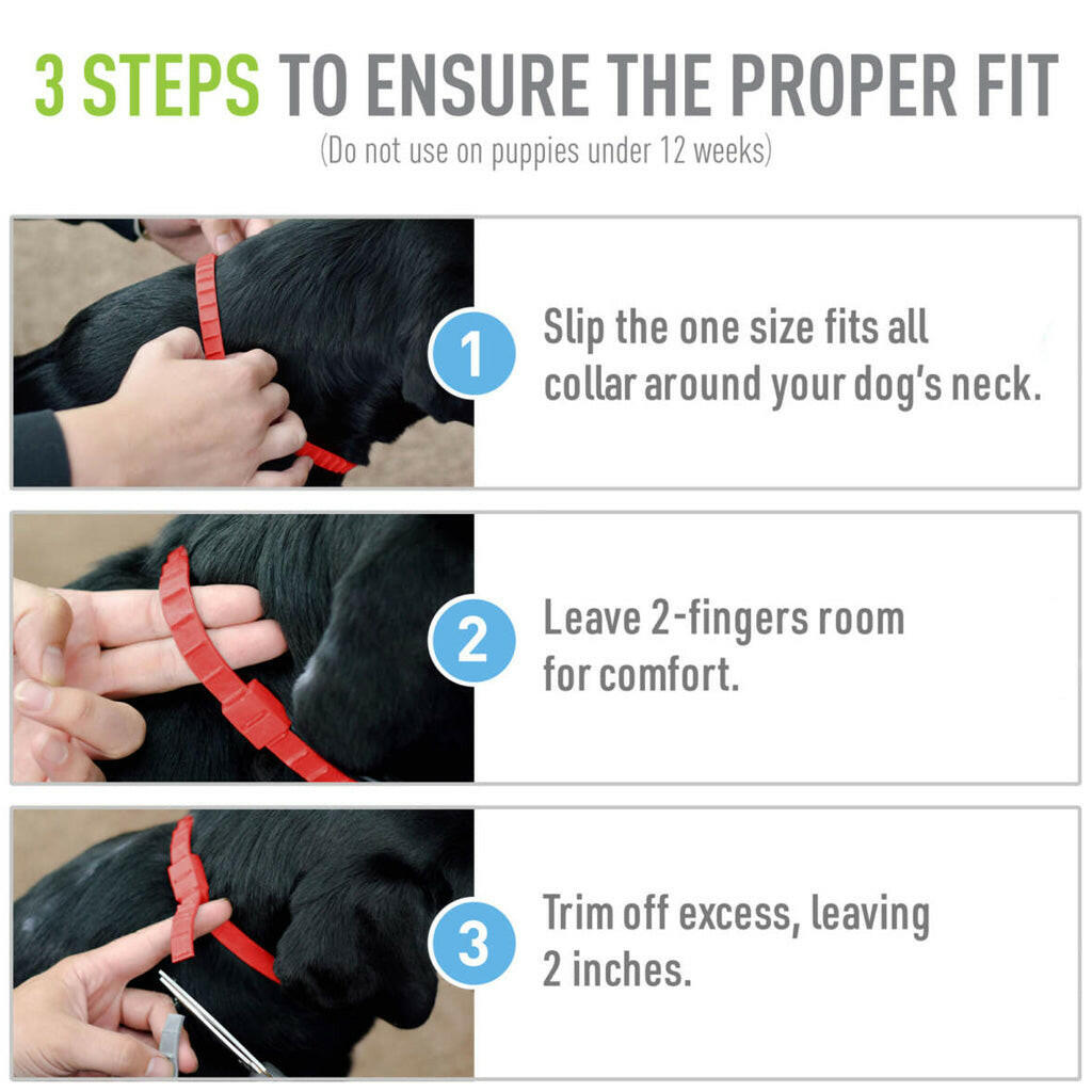 Adams Plus Flea and Tick Collar Small Dogs – photo 4 of 6