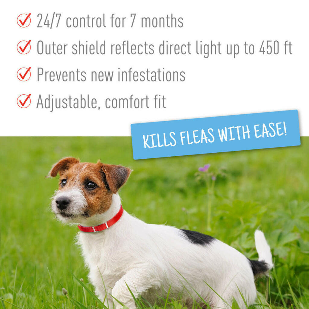 Adams Plus Flea and Tick Collar Small Dogs – photo 6 of 6