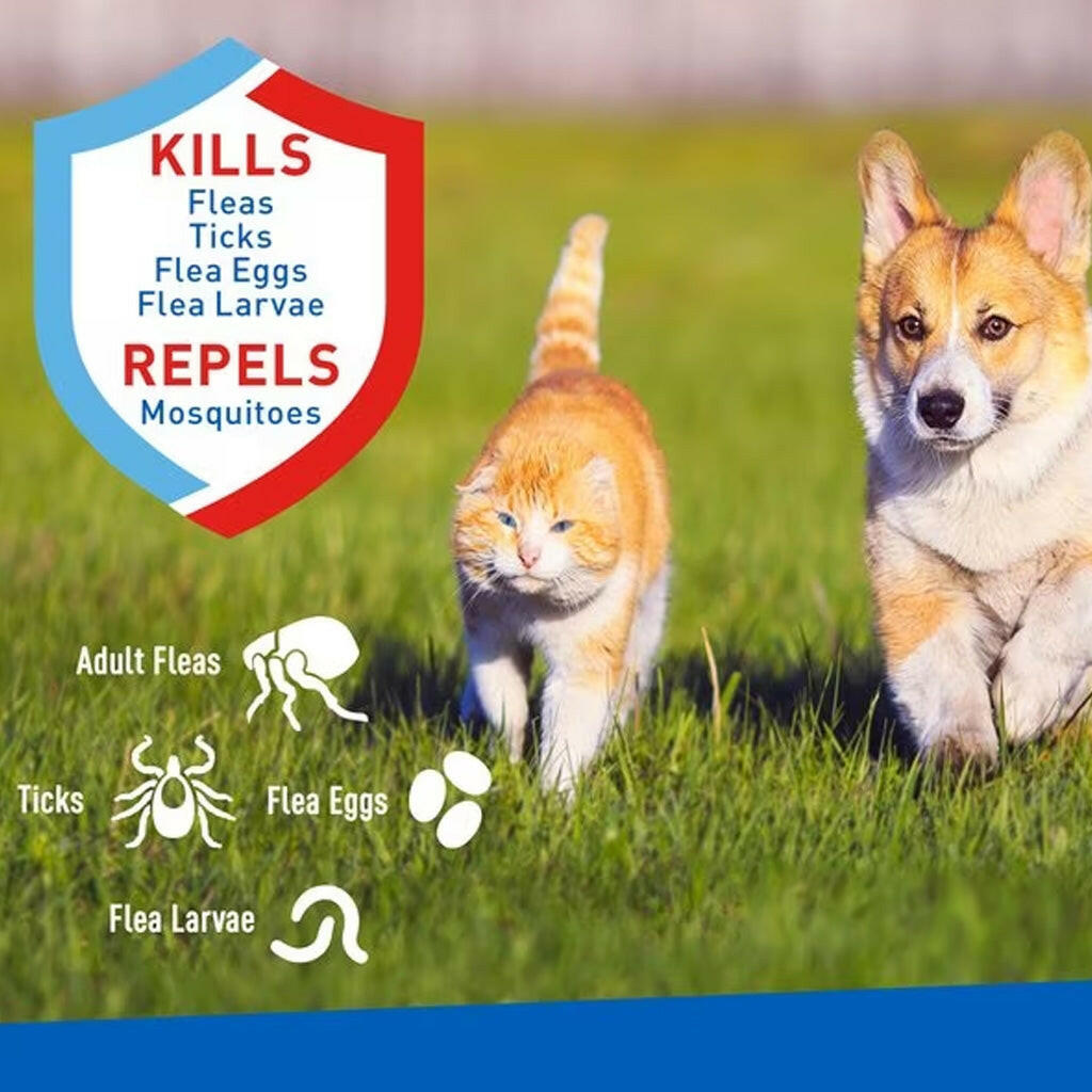 Adams Plus Flea and Tick Spray Dogs Cats – photo 2 of 6