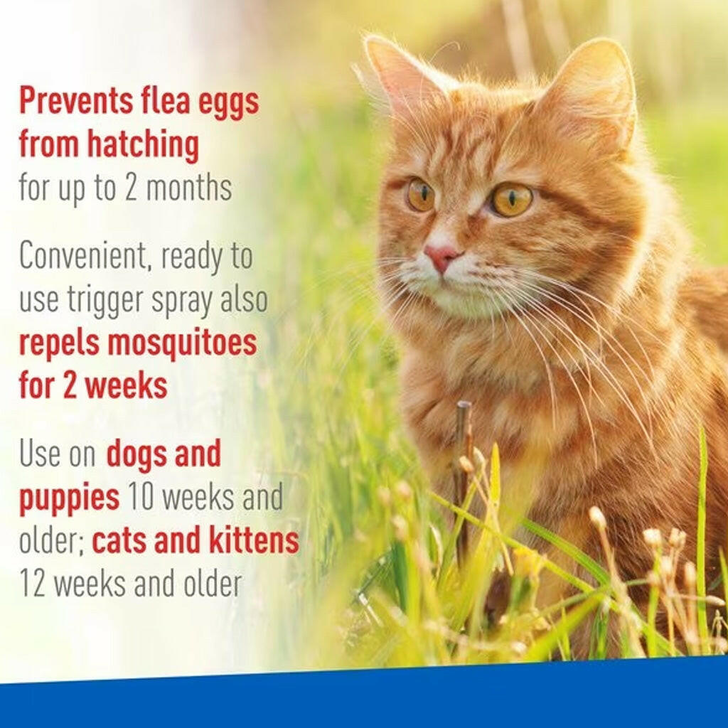 Adams Plus Flea and Tick Spray Dogs Cats – photo 4 of 6