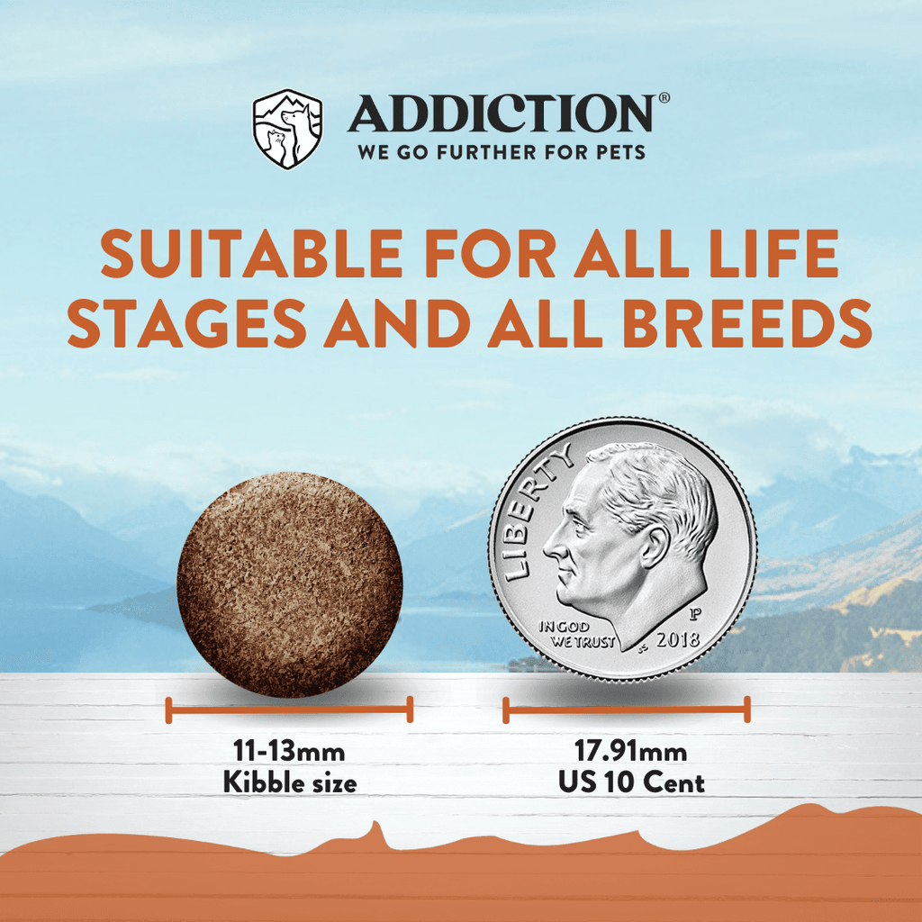 Addiction Wild Kangaroo Dry Dog Food & Meaty Bites Dog Treats Bundle – alternate view 3