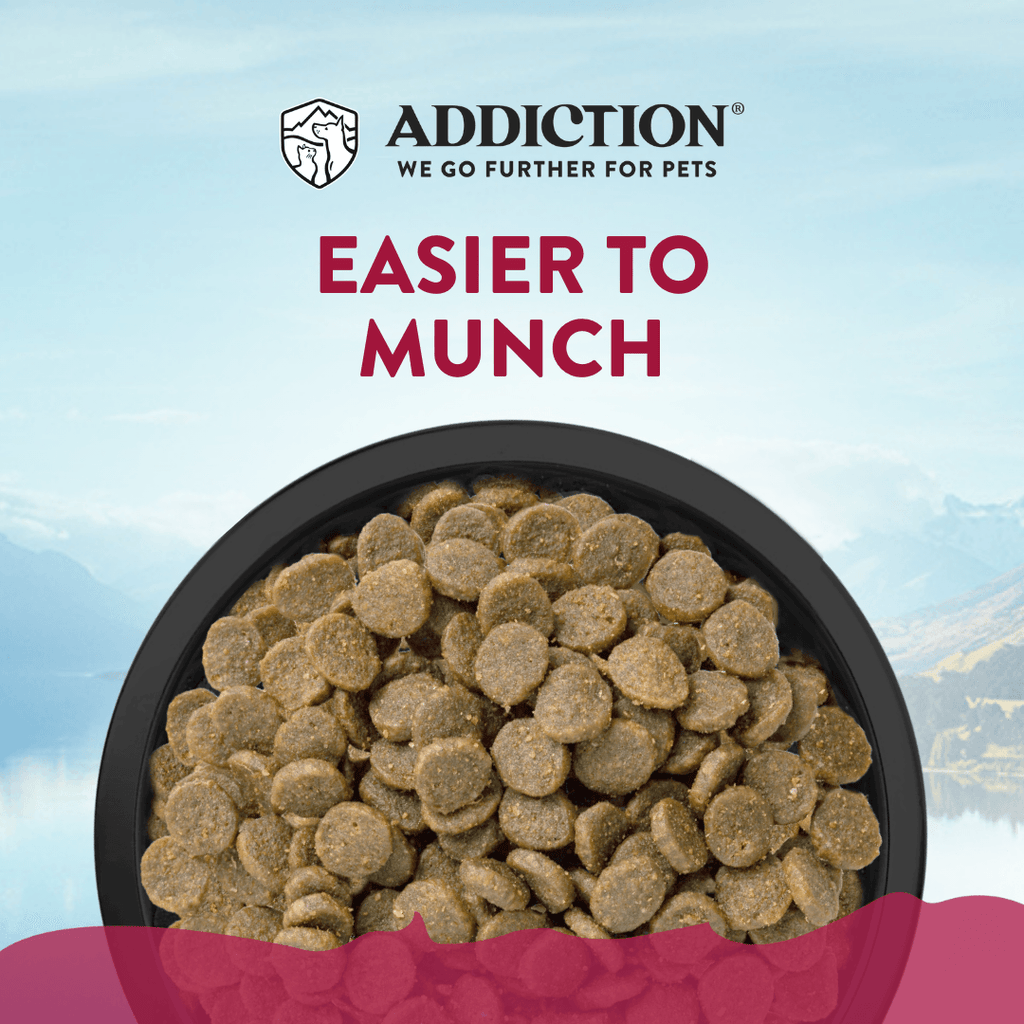 Viva La Venison Grain-free Premium Venison Small Breed Dry Dog Food – alternate view 3