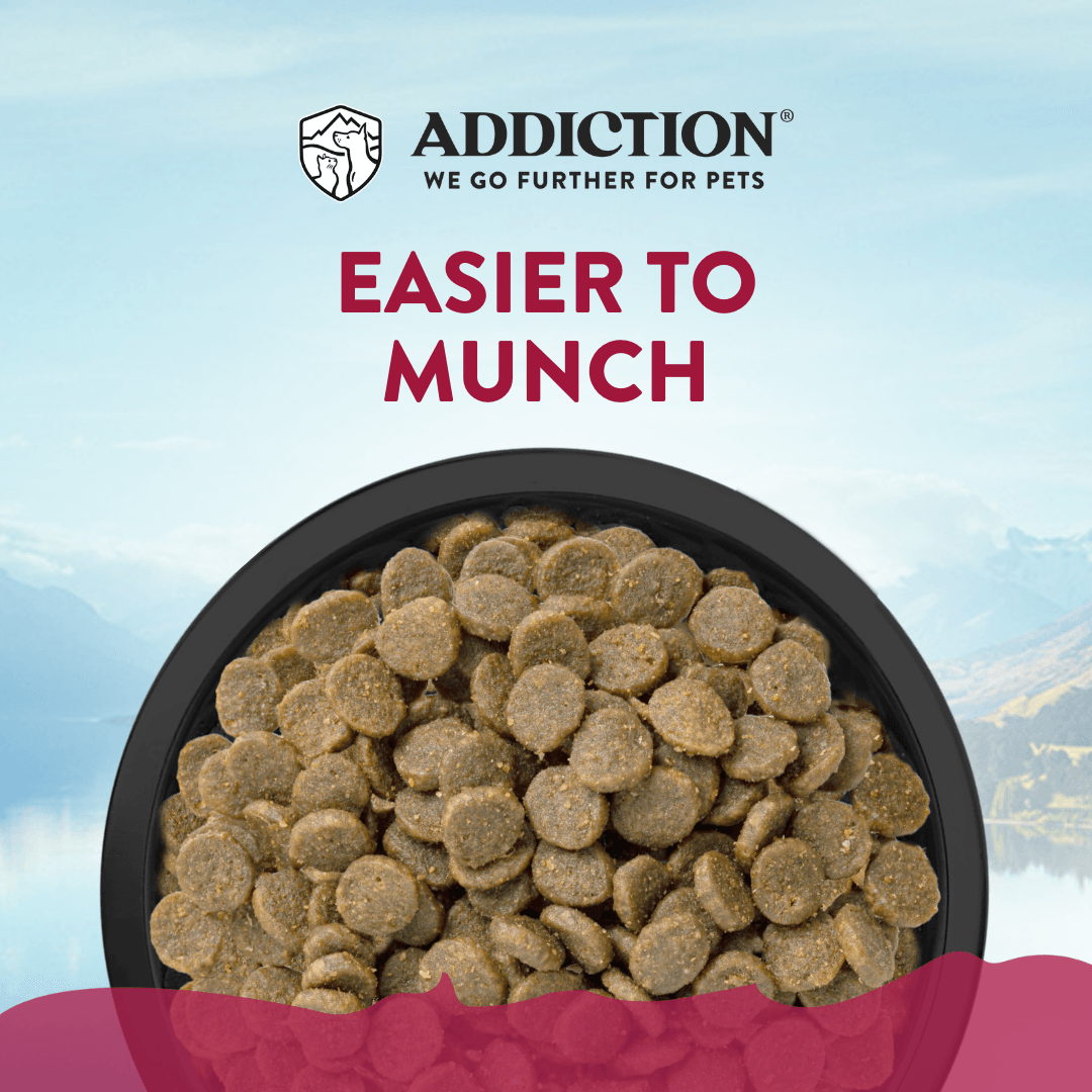 Viva La Venison dog food and treats bundle product image 4