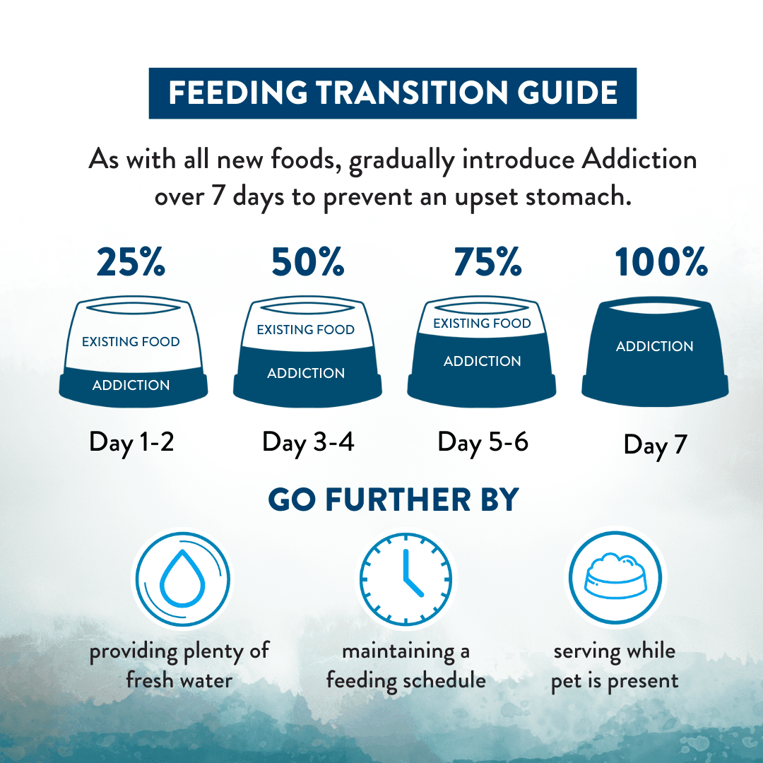 Wild Islands Pacific Catch Premium King Salmon Mackerel & Hoki Dry Dog Food – alternate view 4