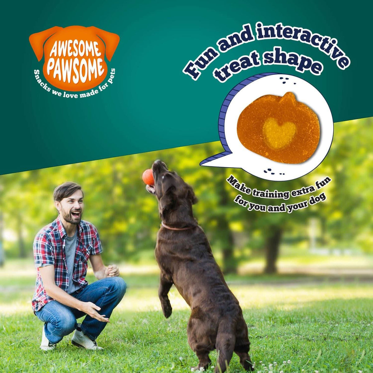 Super Pumpkin pumpkin-shaped treats fun interactive treat shape graphic