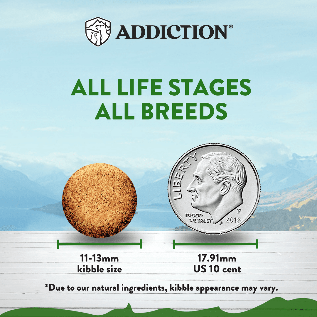Zen Vegetarian Dry Dog Food – alternate view 3