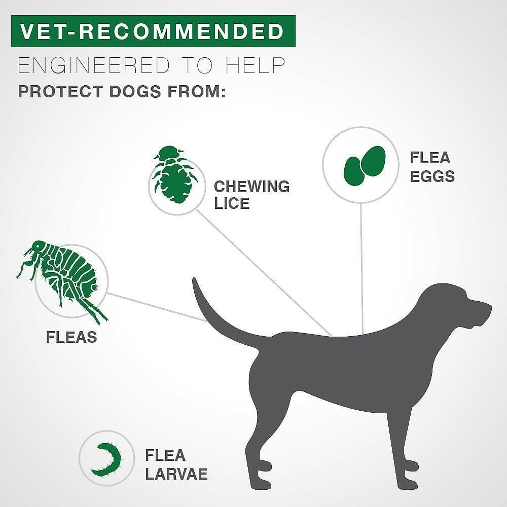 Advantage II Flea Control Large Dogs Red Box – photo 2 of 7