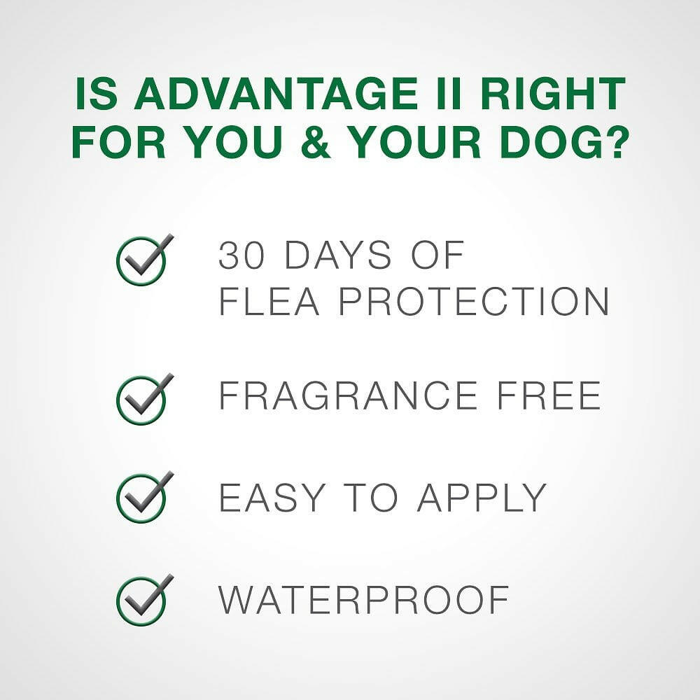 Advantage II Flea Control Small Dogs Green Box – photo 5 of 6