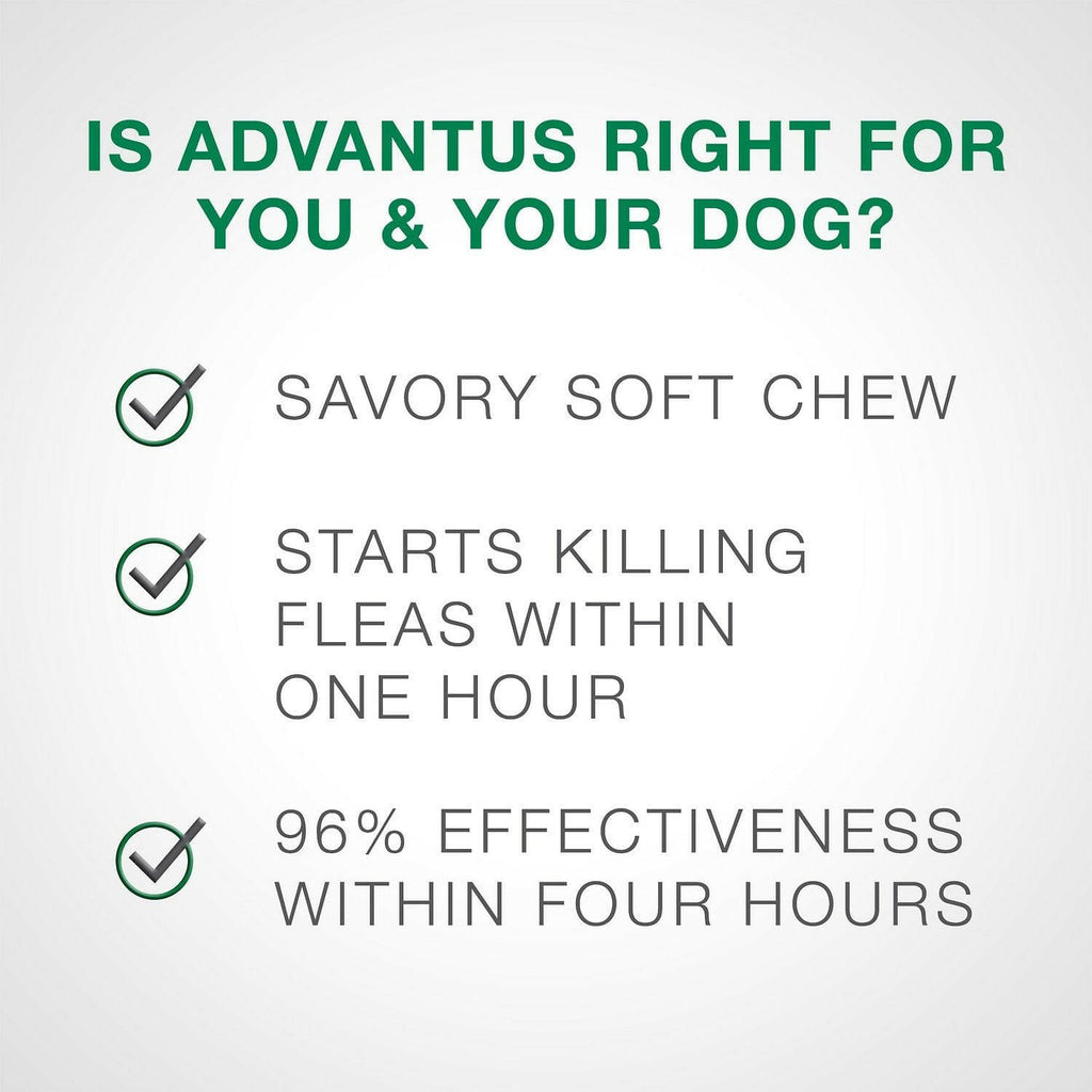 Advantus Oral Flea Treatment Small Dogs Chews – photo 3 of 10