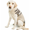 Alpaca Cream Wyatt Dog Sweater Fair Isle in Cream and Grey – photo 1 of 5