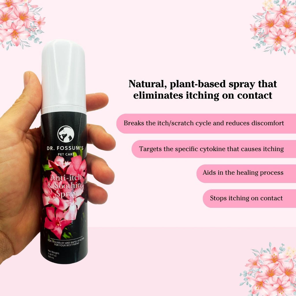 Anti-Itch & Soothing Spray for Dogs by Senior Dogs Club – photo 2 of 4