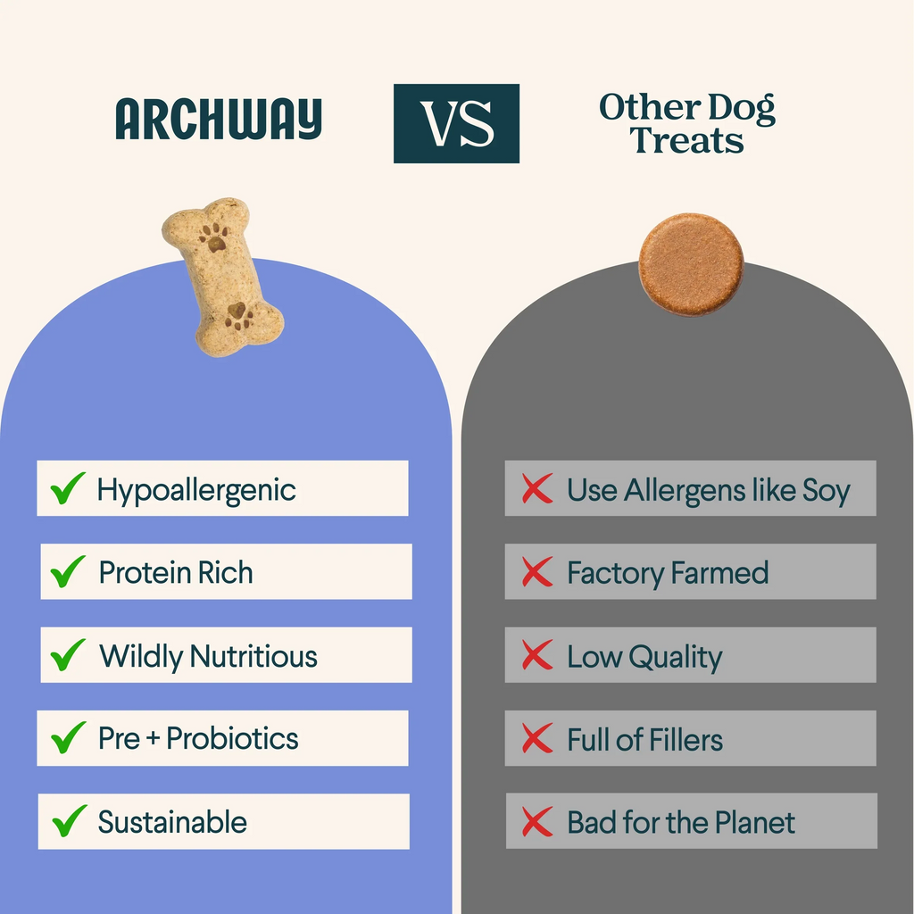 Archway Better Biscuit Peanut Butter Crunchy Dog Treats – photo 7 of 8