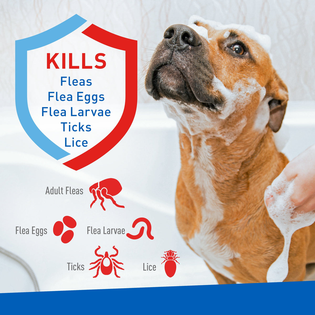 Keep Your Dog Happy and Flea-Free with Adams Plus Flea  Tick Foaming S, detail view
