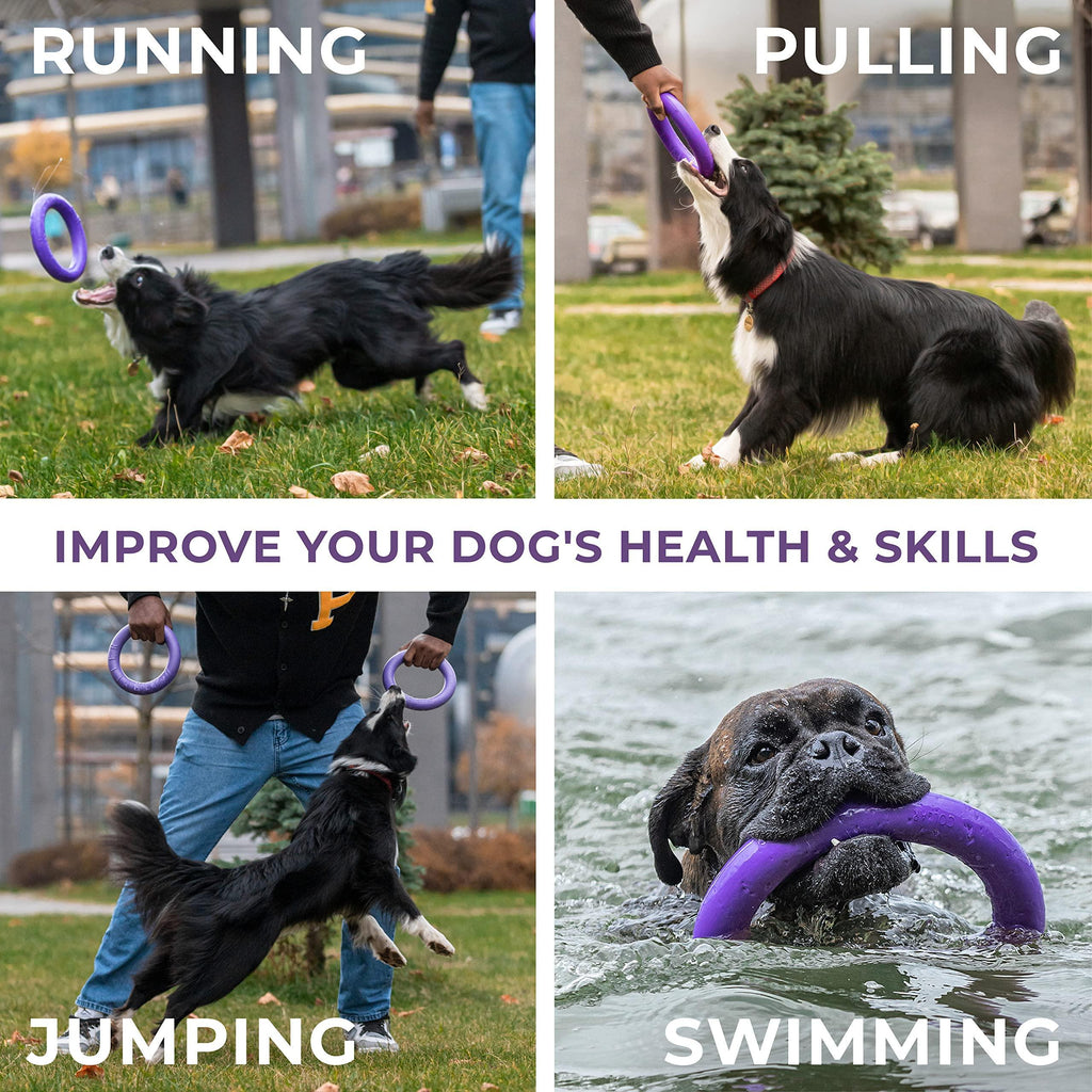 PULLER Dog Ring Fetch Toy Medium MIDI Size – photo 4 of 6