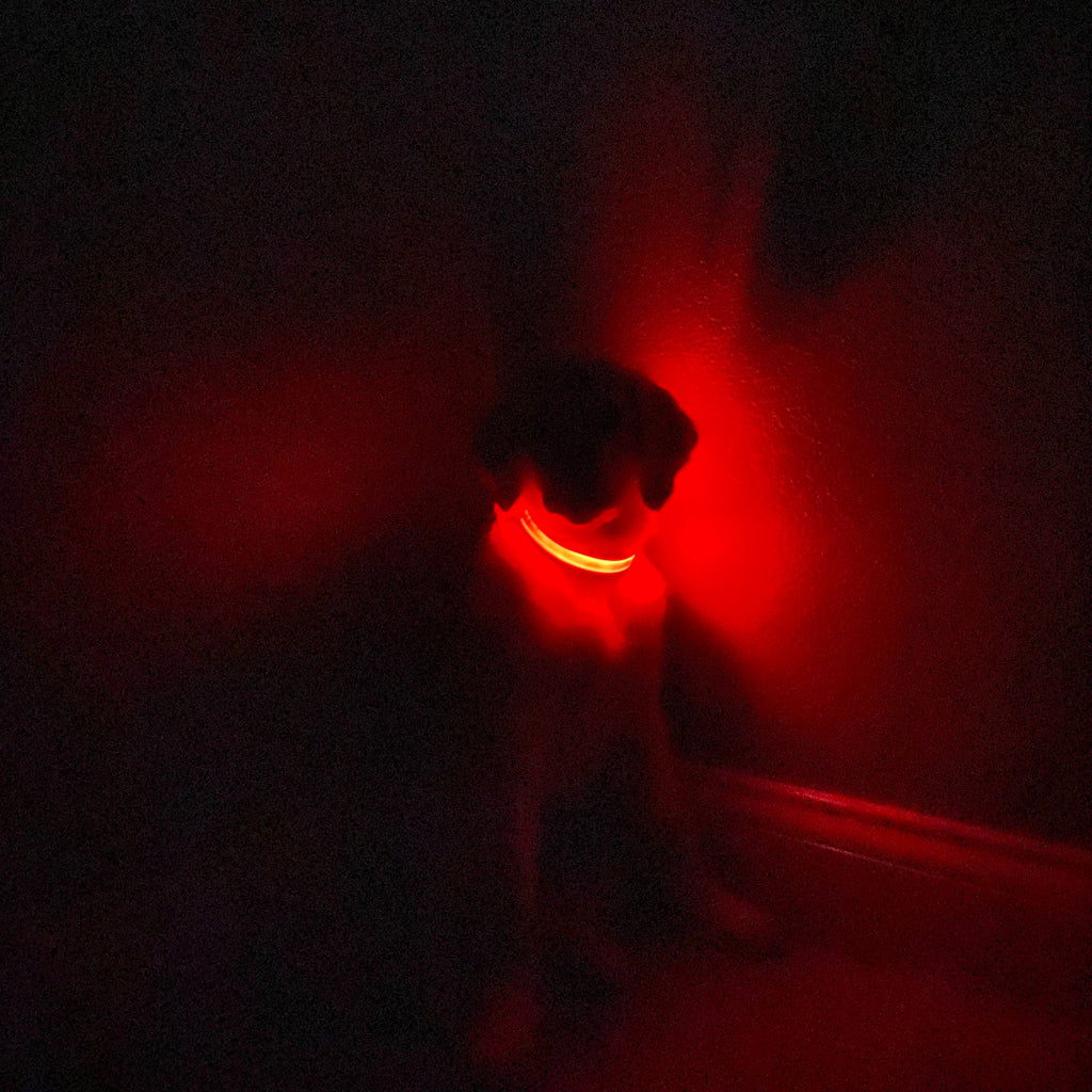 LED Dog Collar: Blue – alternate view 21