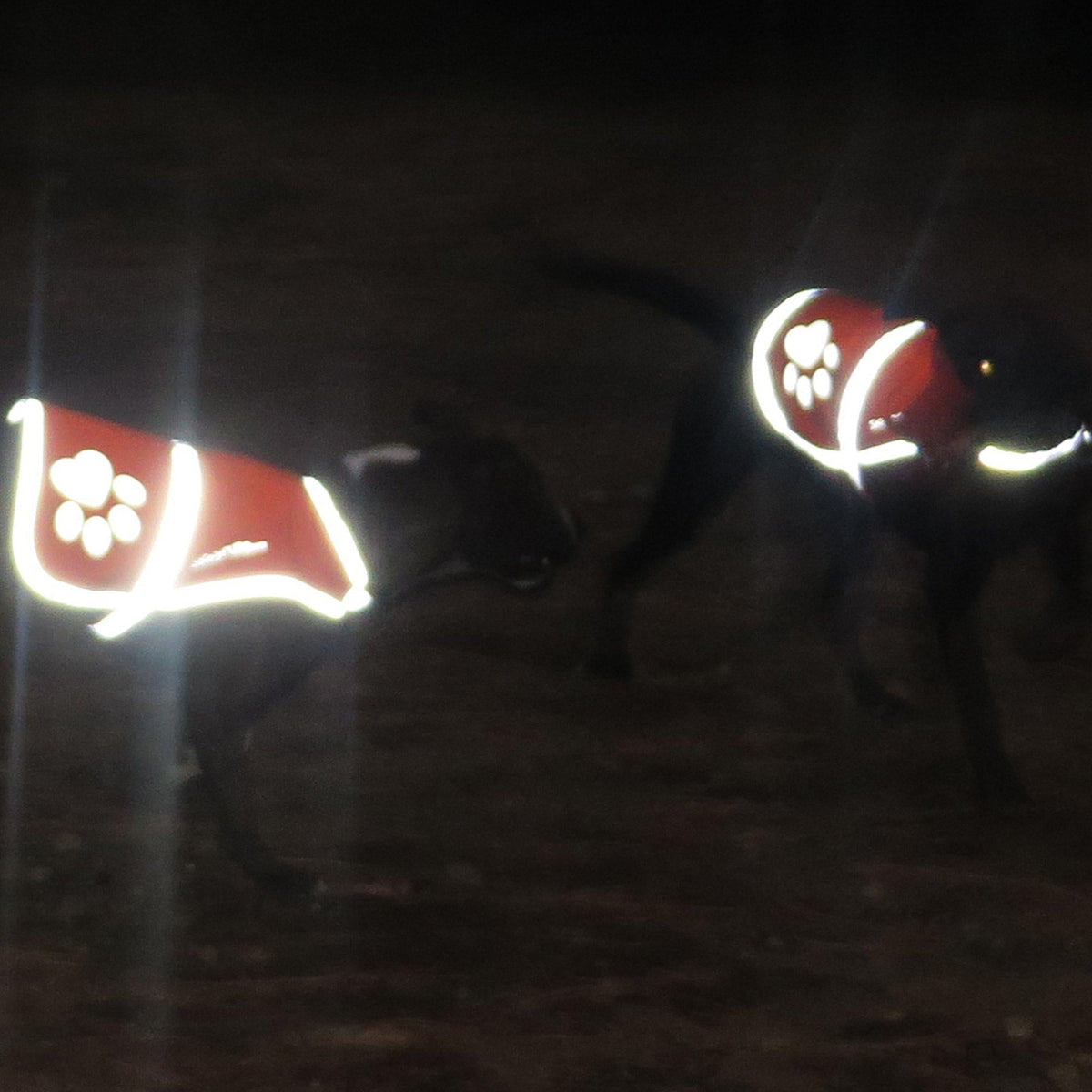 SafetyPUP Reflective Dog Vest L Blue – photo 4 of 4