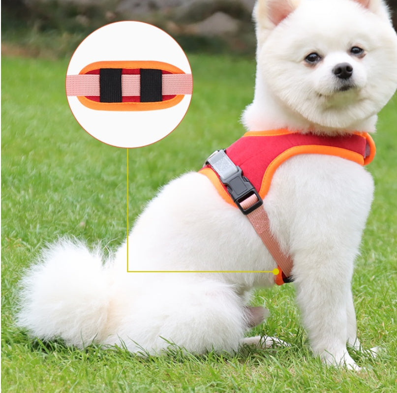 Suede Dog Harness with Leash – front view