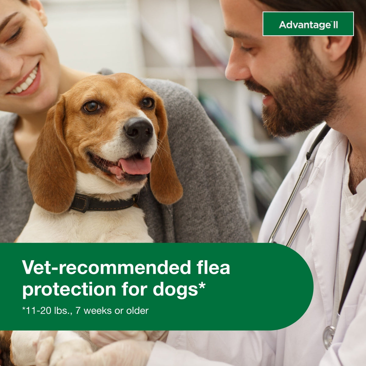 Vet-Recommended Flea Prevention for Medium Dogs 11-20 Lbs 6-Monthly Tr, alternate view