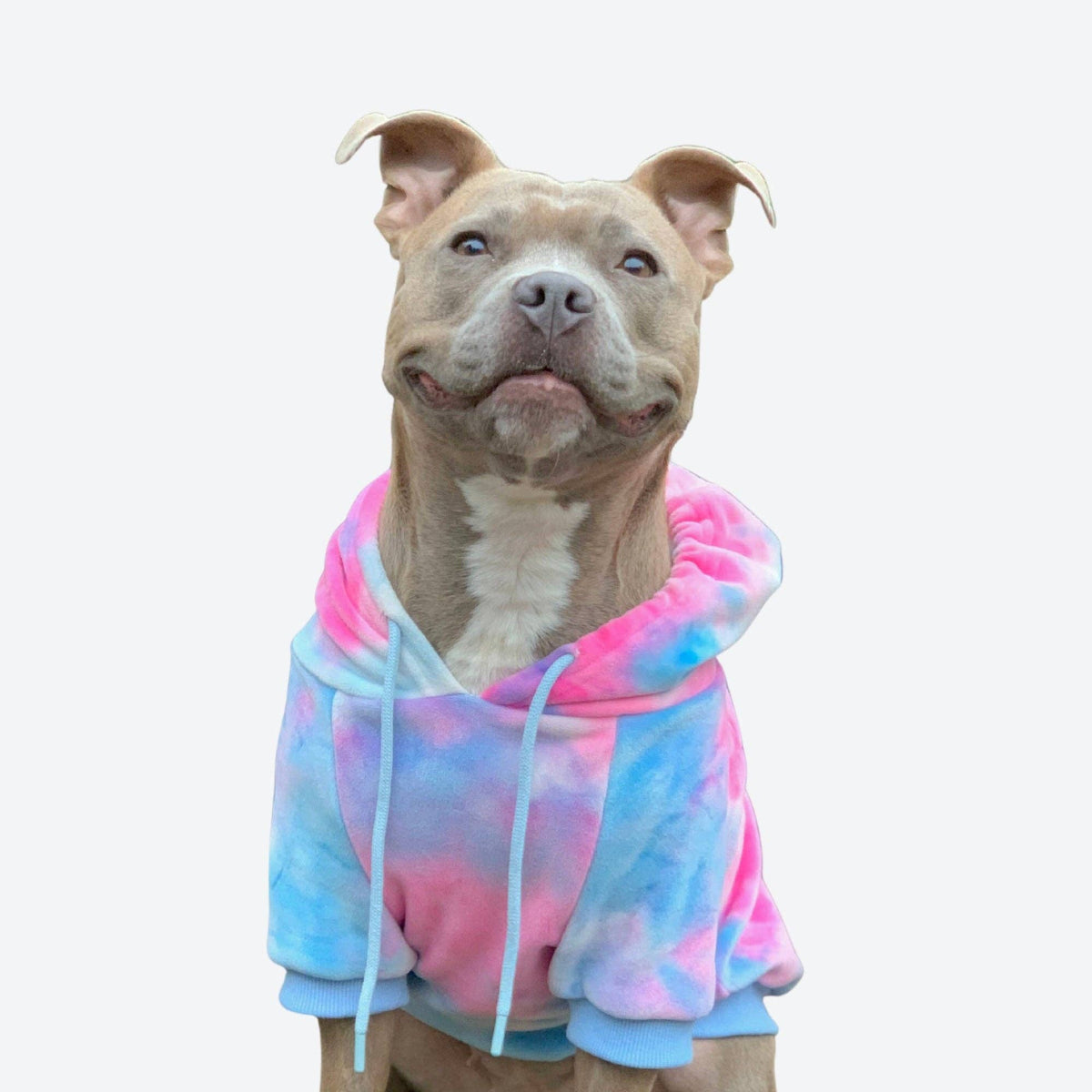 Velvet Dog Hoodie - Snow Cone – alternate view 3