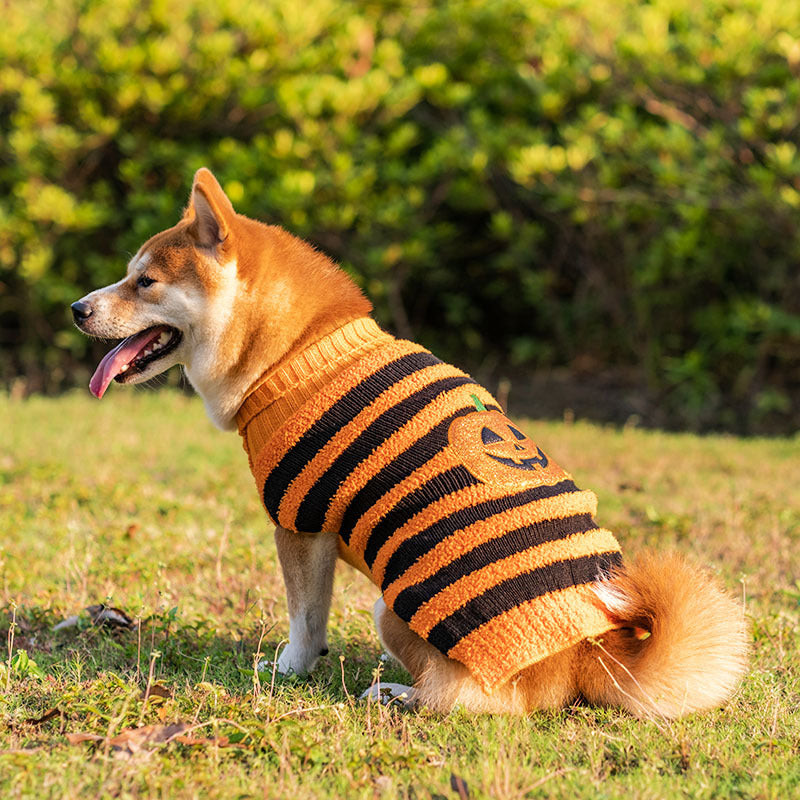 Halloween Dog Sweater – Warm Knit Costume Sweater – alternate view 1
