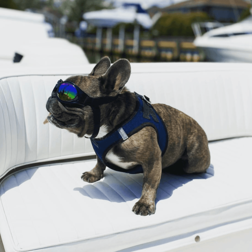K9 Sport Shades Dog Goggles – alternate view 4