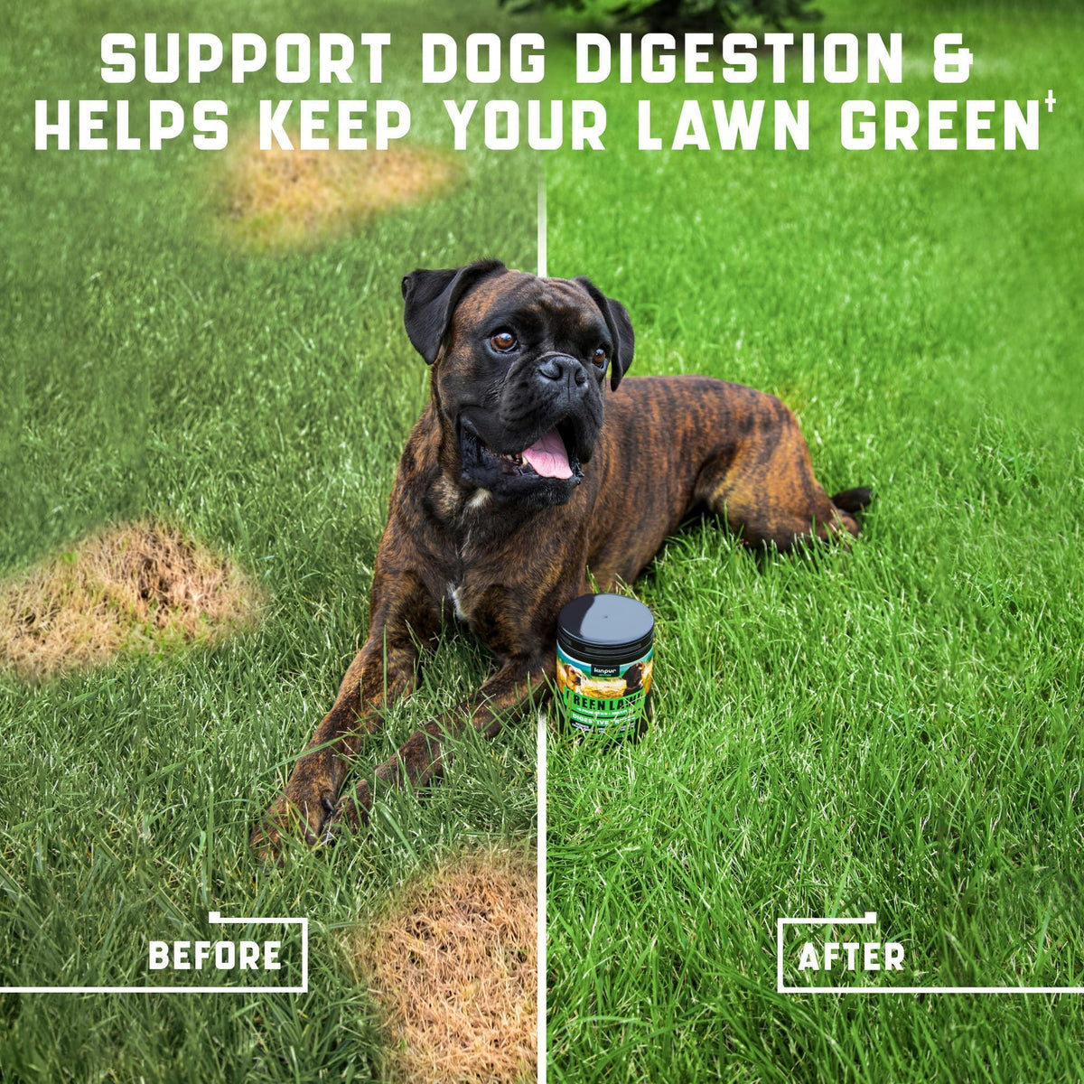 Green Lawn Chews for Dogs Urine Neutralizer Cranberry ACV – photo 2 of 7