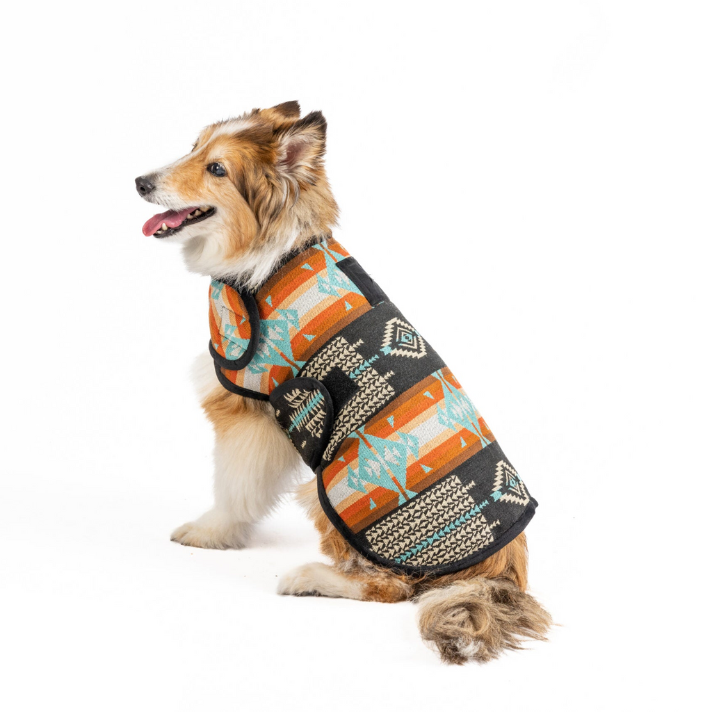 Black Canyon Dog Blanket Coat Southwest Pattern with Fleece Lining – photo 3 of 5