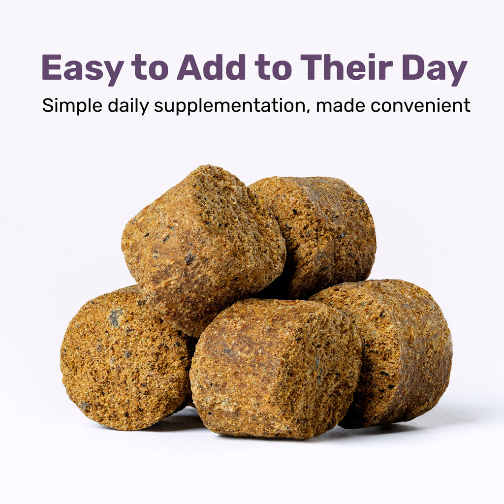 Badlands Ranch Super Soft Chews Supplement for Dogs – photo 11 of 18