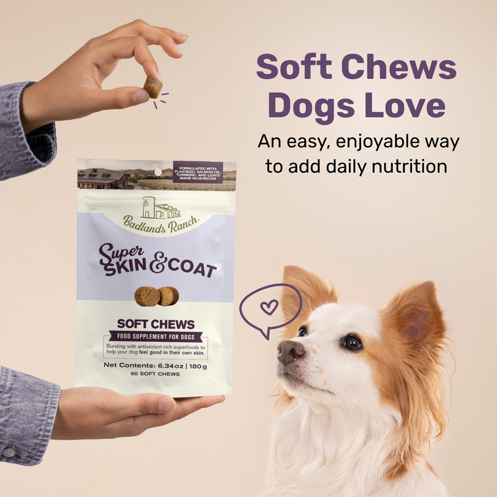 Badlands Ranch Super Soft Chews Supplement for Dogs – photo 15 of 18