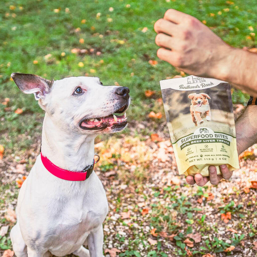 Badlands Ranch Superfood Bites Beef Liver Treats – photo 6 of 10