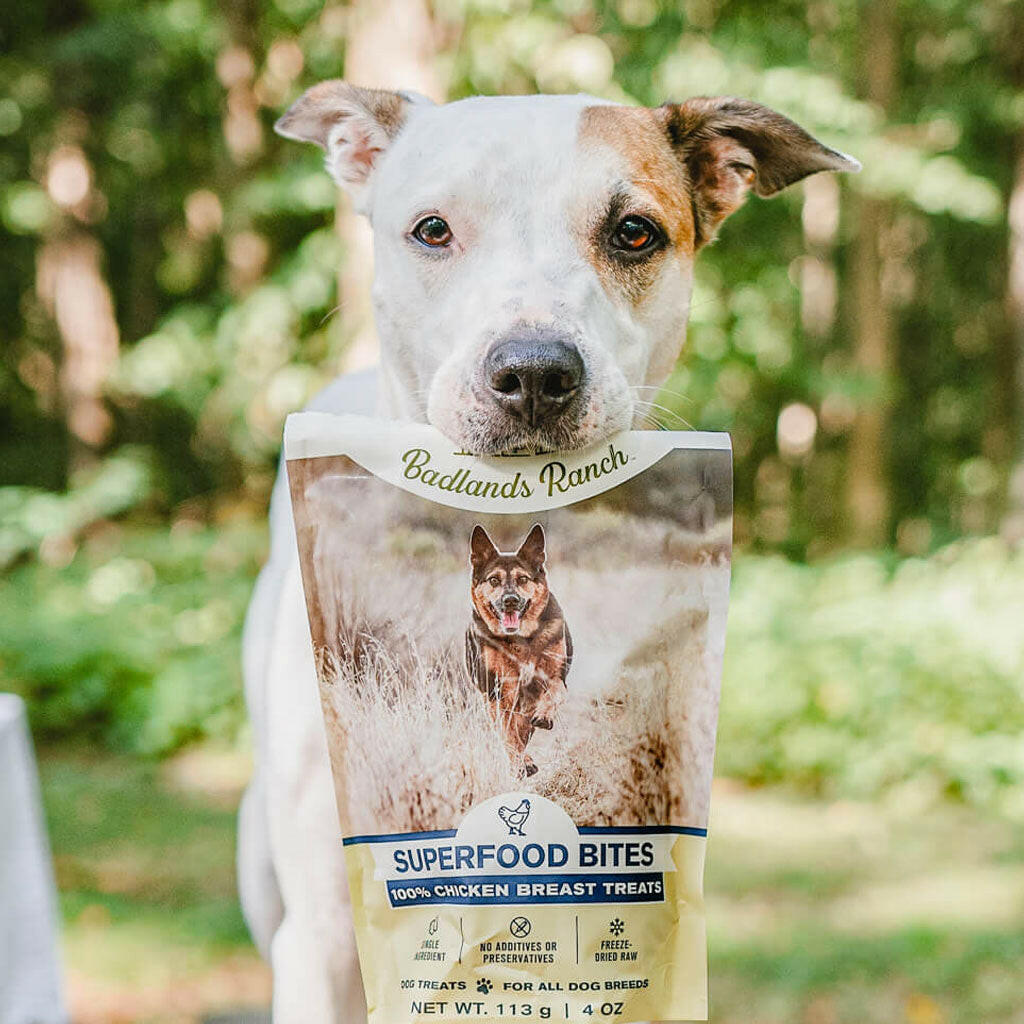 Badlands Ranch Superfood Bites Chicken Breast Treats – photo 6 of 10