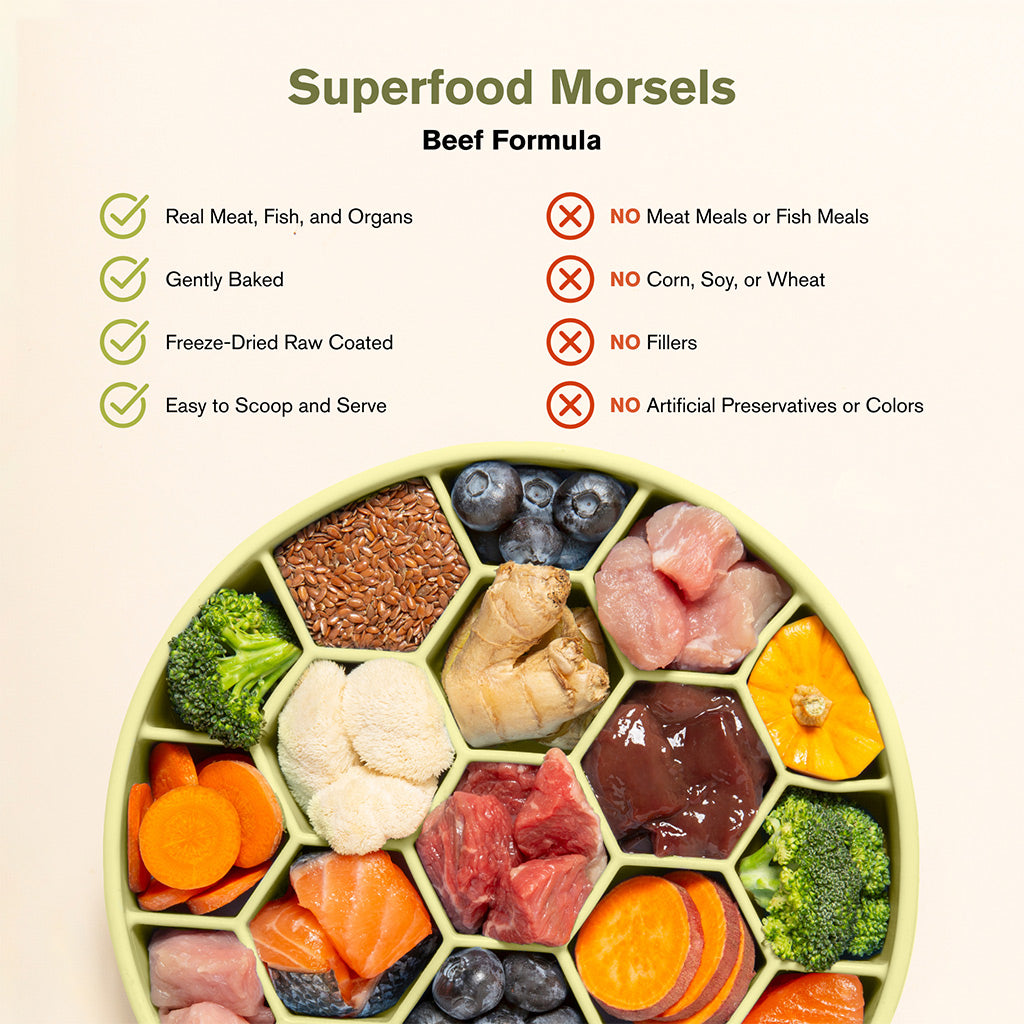 Badlands Ranch Superfood Complete Raw Coated Morsels Beef Dog Food – photo 4 of 7