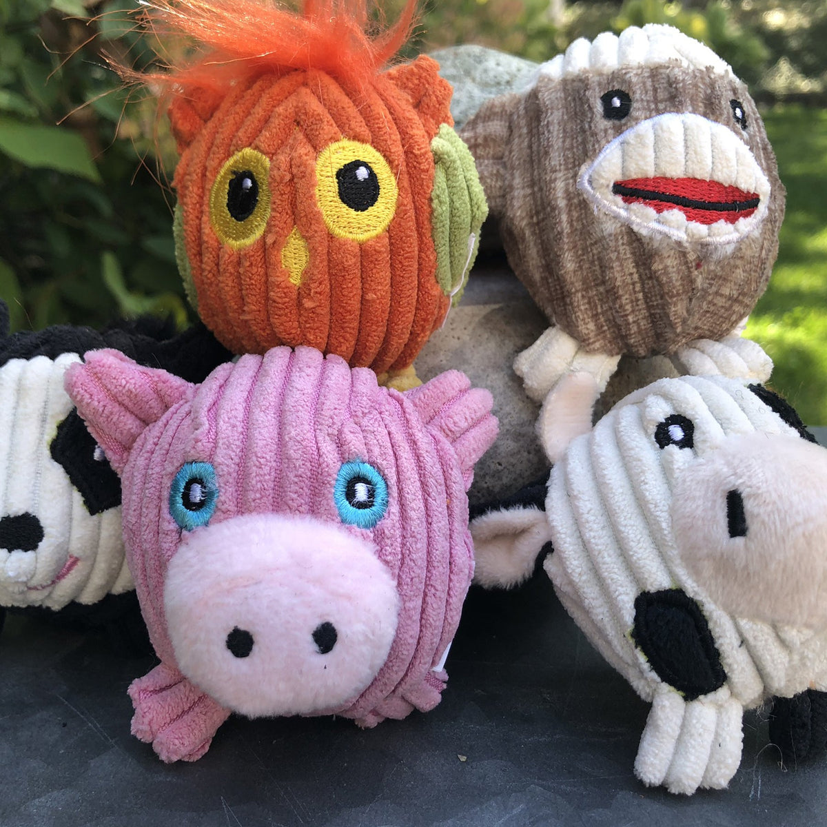 Wee Huggles Assorted Balls Dog Toys 5 Pack, close-up