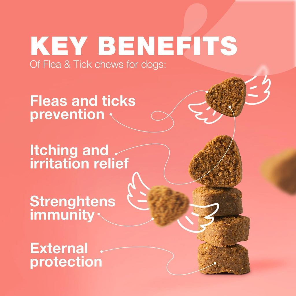 Flea and Tick Support Chews for Dogs Natural Soft Chews – photo 3 of 9