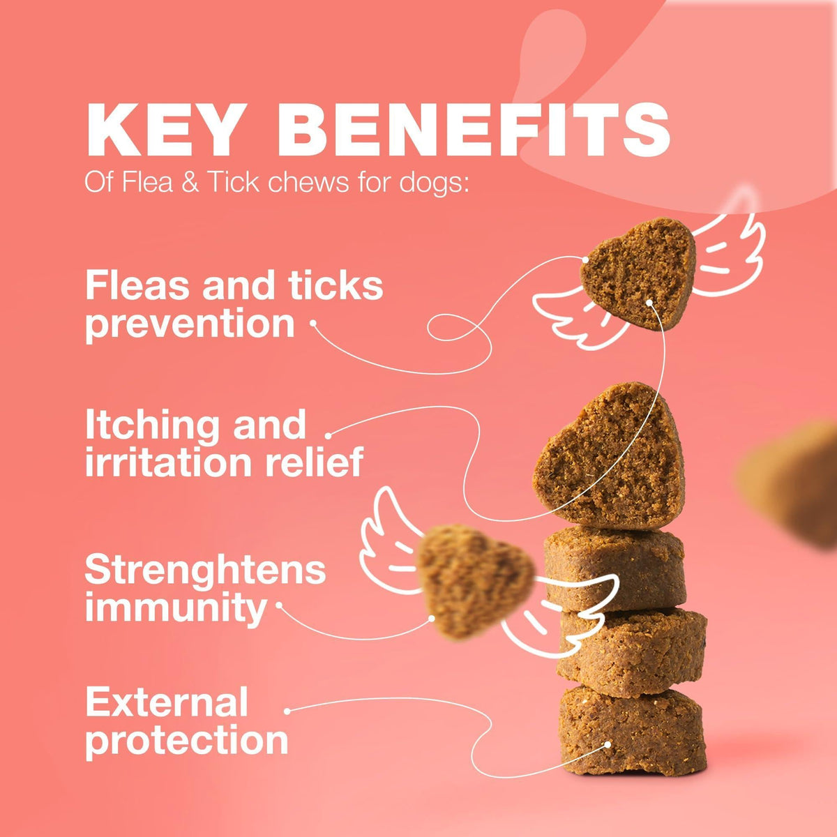 Flea and Tick Support Chews for Dogs Natural Soft Chews – photo 3 of 9