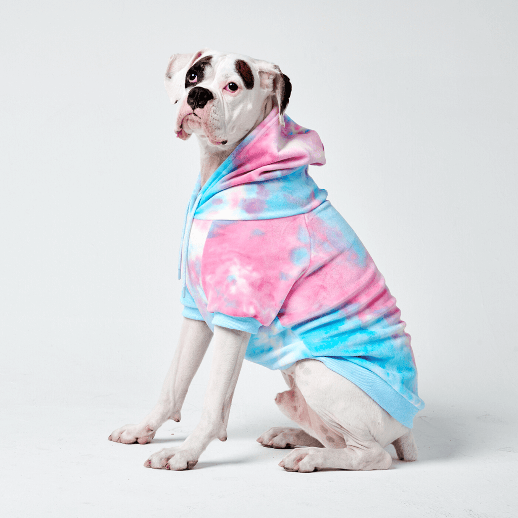 Velvet Dog Hoodie - Snow Cone – alternate view 8