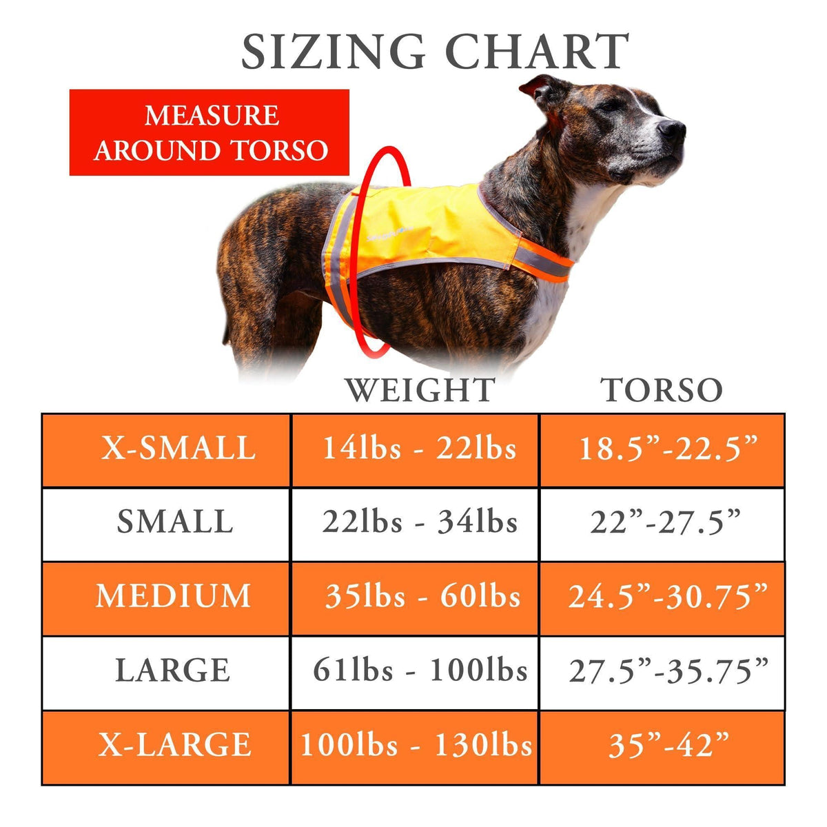 SafetyPUP XD Lite Lightweight Dog Vest S Blaze Orange – photo 2 of 9