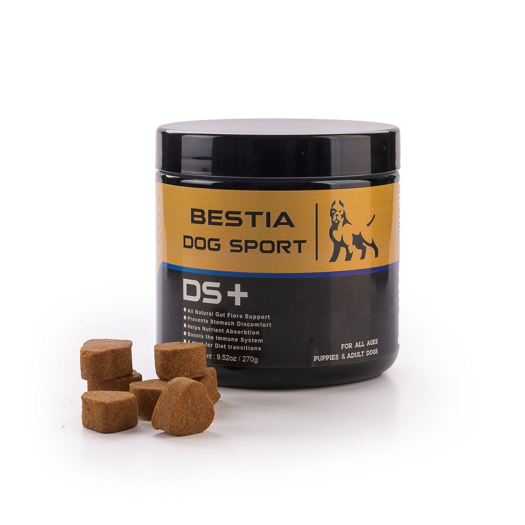 BDS DS+ dog food supplement probiotic digestive support, probiotic blend ingredients infographic