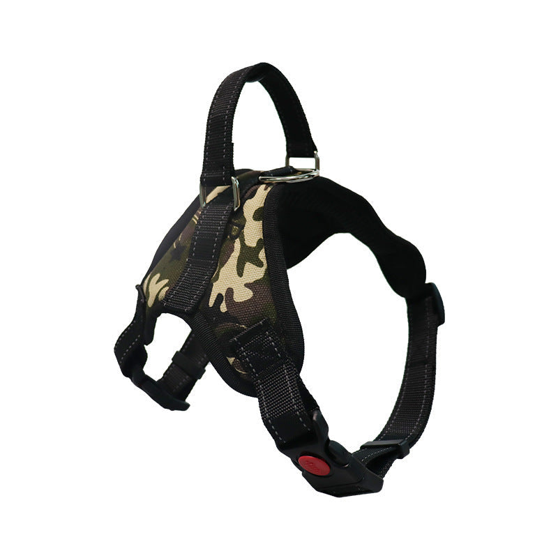 Dog Collar – Medium & Large Dogs – alternate view 11