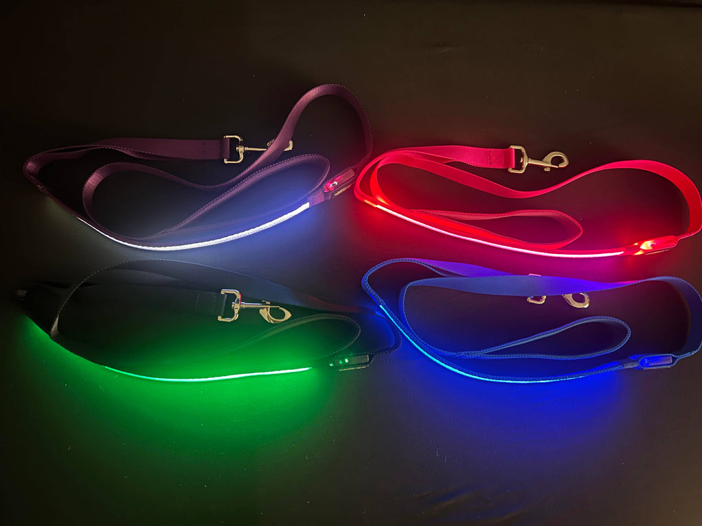 Light Up LED Dog Leash: Blue – alternate view 3
