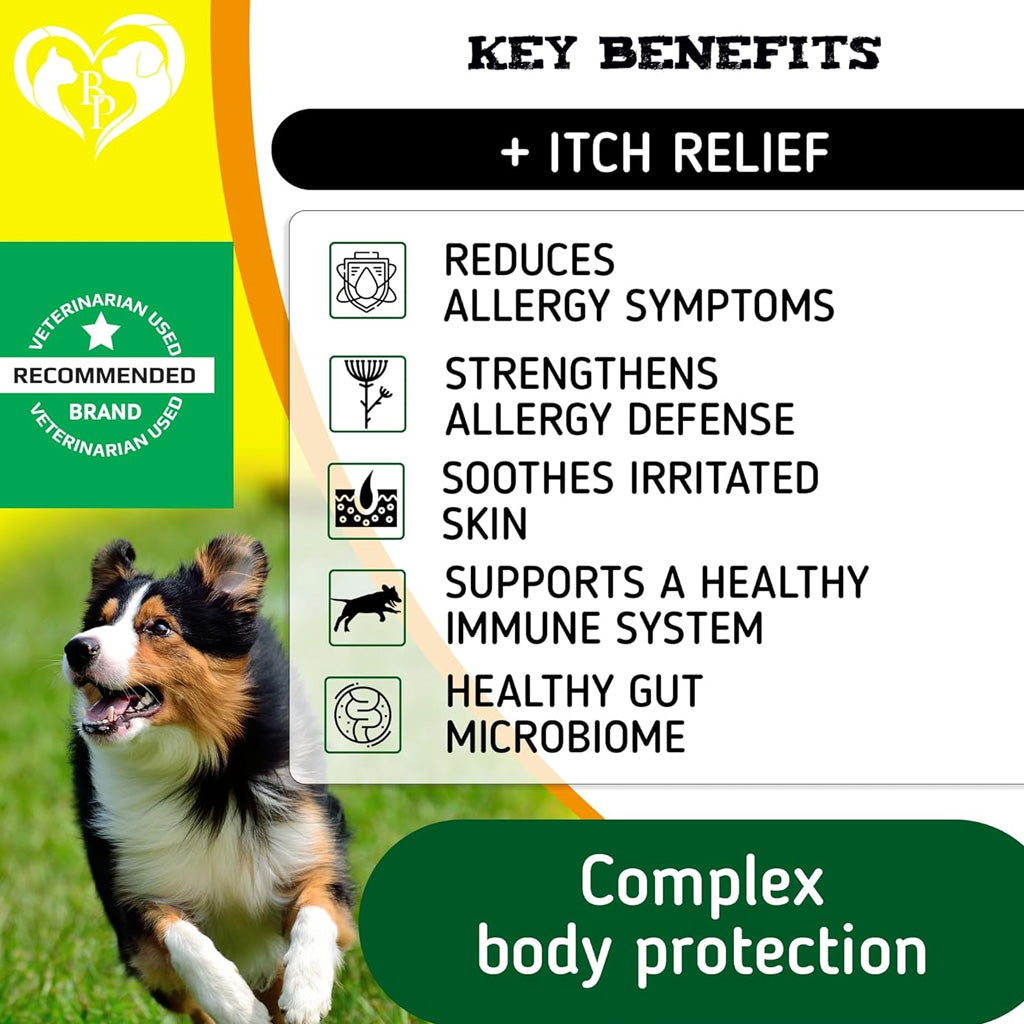 Beloved Pets Anti-Itch and Allergy Relief Chews for Dogs – photo 6 of 6