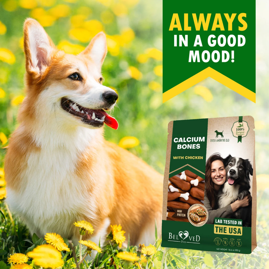 Beloved Pets Calcium Bones with Chicken Natural Chews – photo 8 of 8