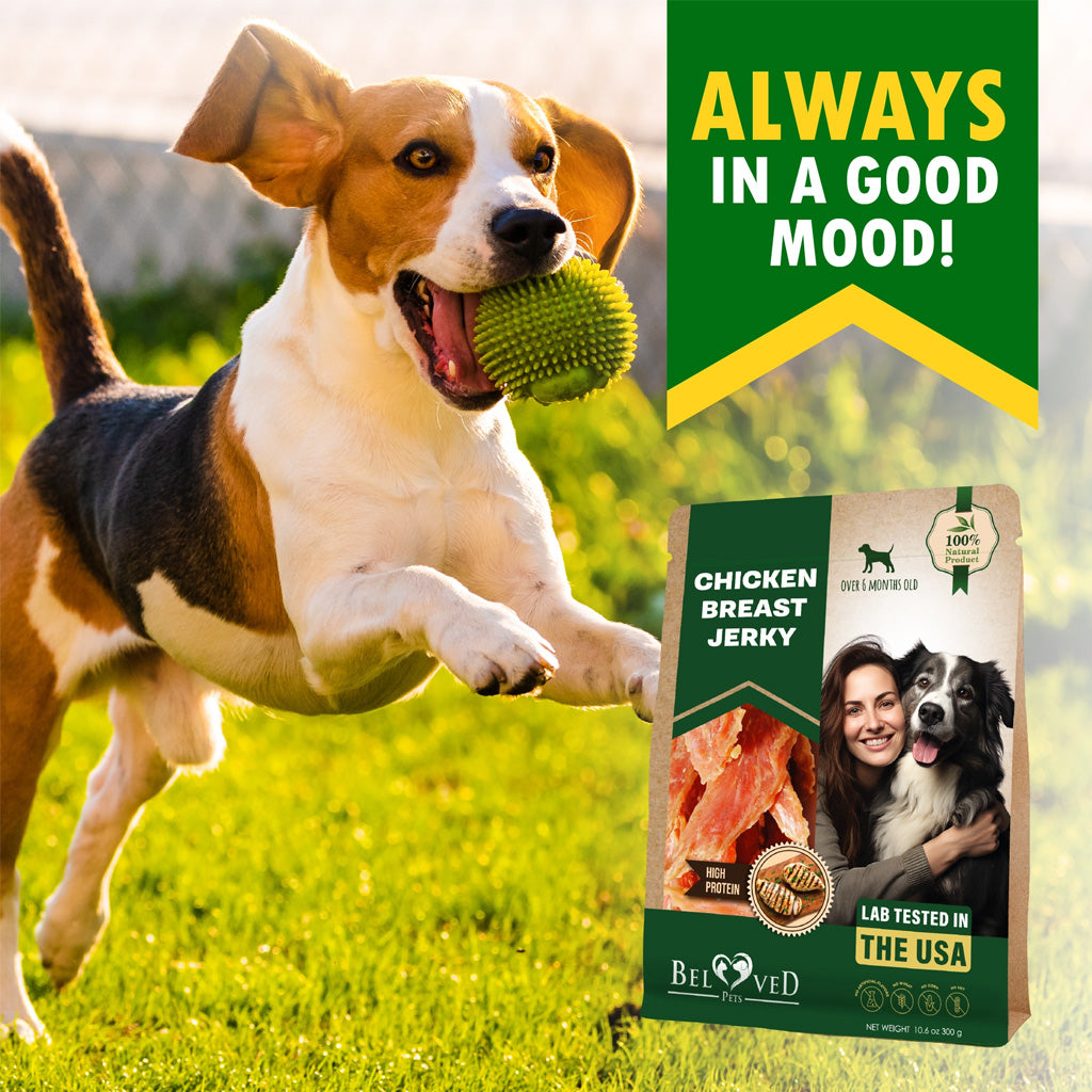 Beloved Pets Chicken Breast Jerky Dog Treats – photo 2 of 8