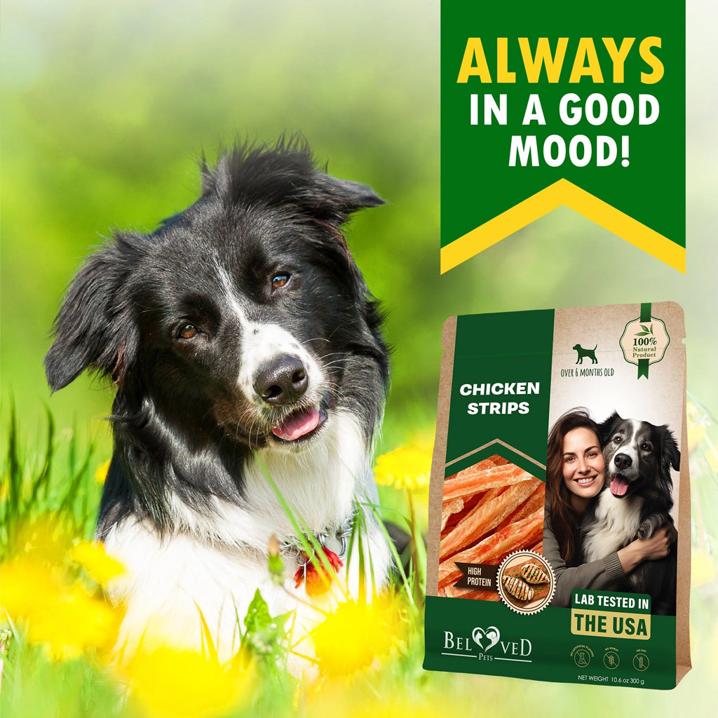 Beloved Pets Chicken Strips Dog Treats – photo 2 of 8
