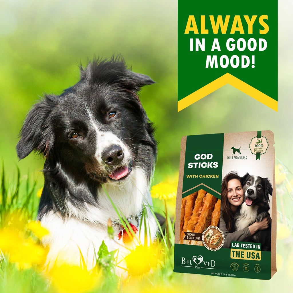 Beloved Pets Cod Sticks with Chicken Dog Chew Treats – photo 2 of 8